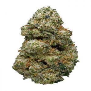 AC-DC Marijuana Strain