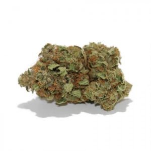 buy Afghan Kush Strain