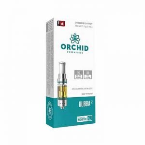 Buy Orchid Essentials Bubba Online